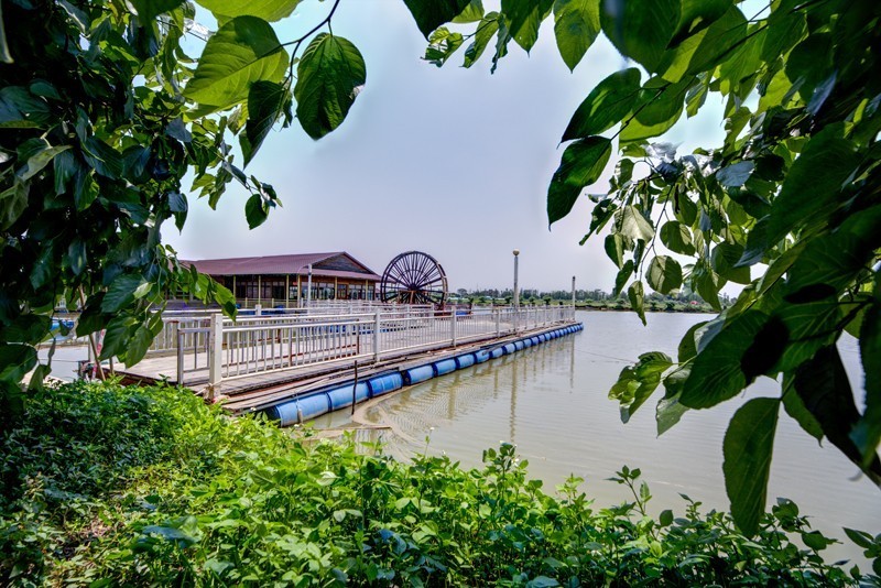 广州南沙鹏林生态园图片