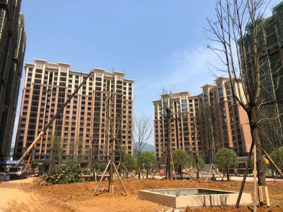 见证点滴改变景秀峨眉美好渐入家境