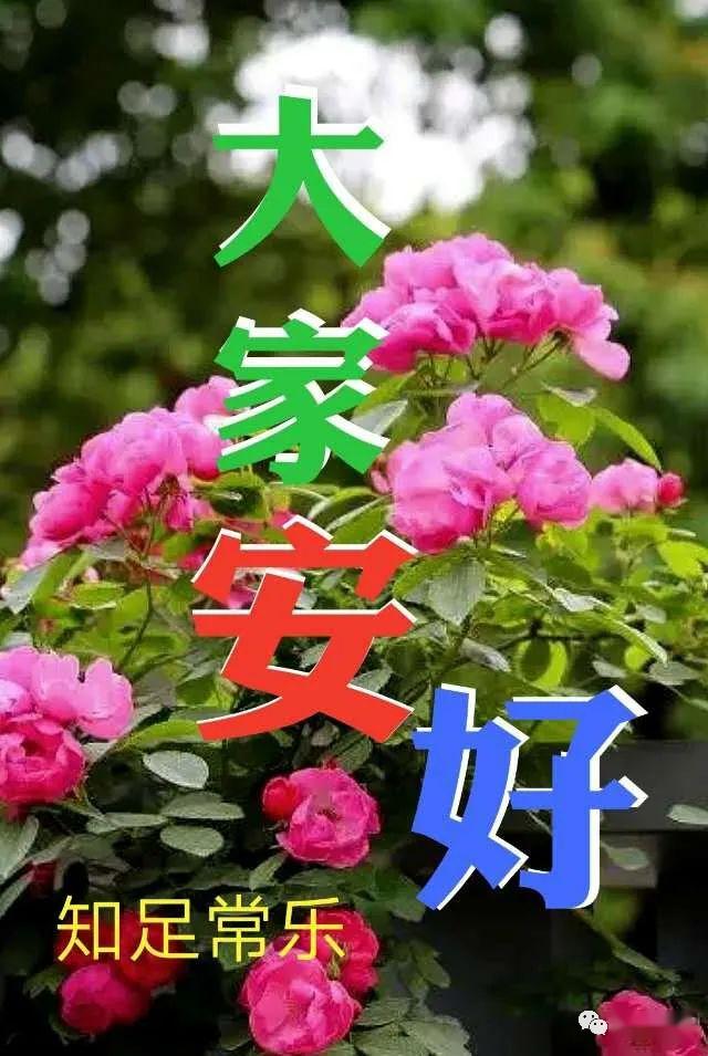 早晨祝福图片五一问候句子