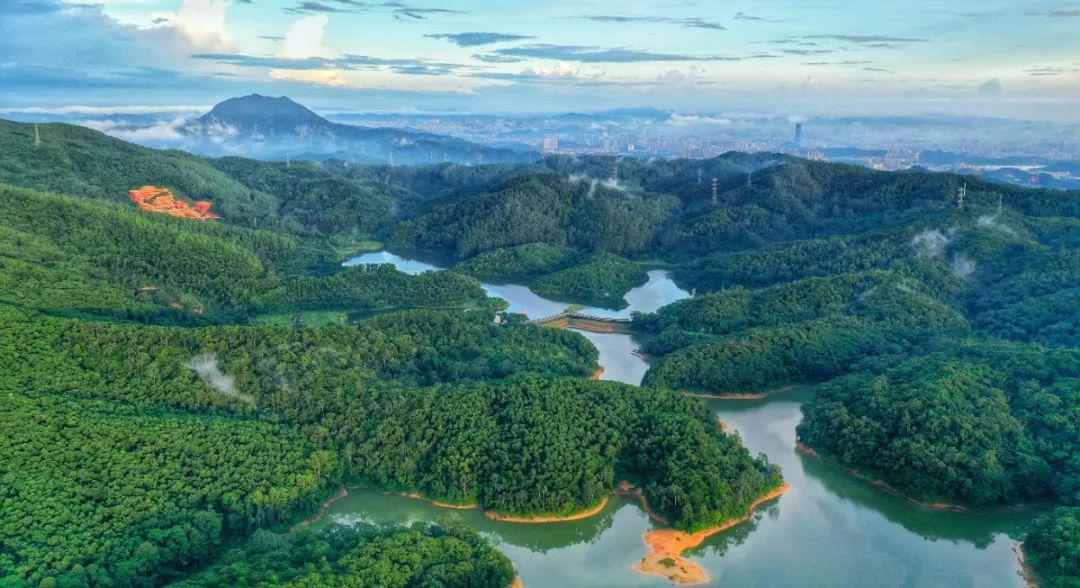 一东莞市大岭山森林公园推出《"五一"游园指引