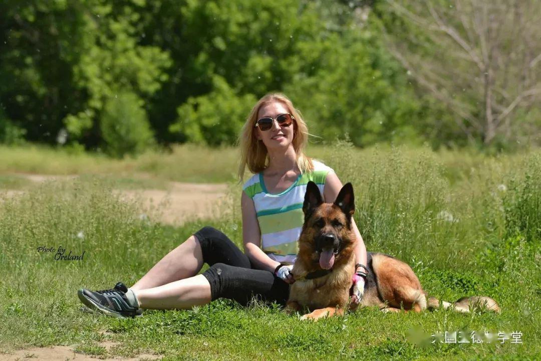 祝养德牧的朋友新年快乐,欣赏养德牧的美女
