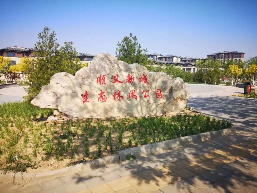 昨日下午18时许,记者来到顺义新城生态休闲公园看到,园内树木枝叶茂盛