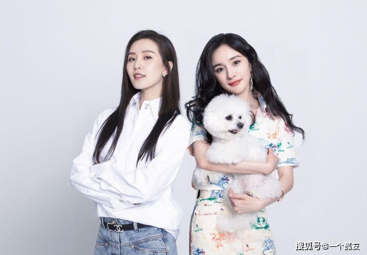 原创为什么杨幂和刘诗诗前后上李佳琦直播而得到的评价却不同
