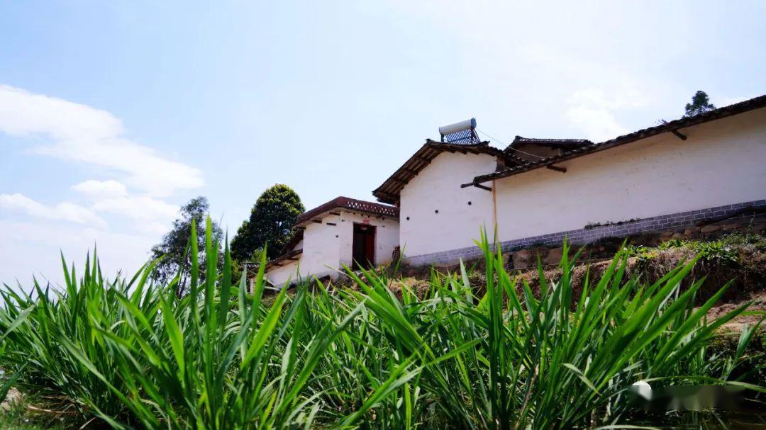 会理县小黑箐镇历史文化底蕴深厚,自然条件优越,按照乡村振兴发展,以"