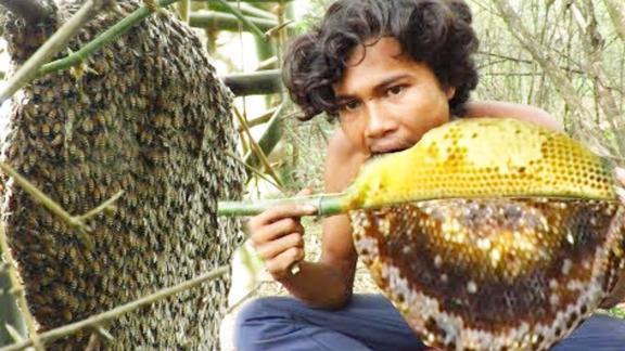农村大哥野外生存在竹林发下这纯天然的蜂蜜熏走蜜蜂烤着吃