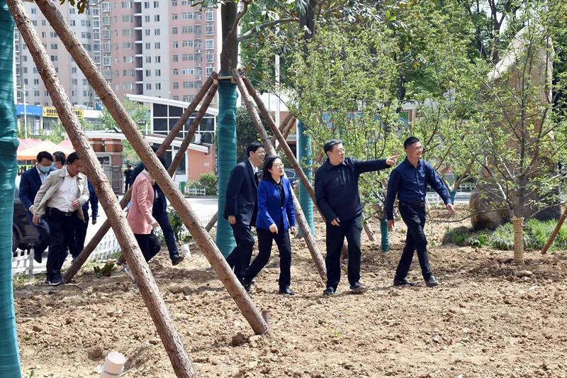 河南省教育厅副厅长,南阳市领导莅临南阳一中