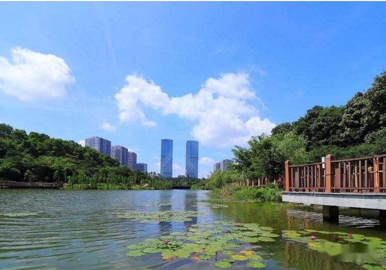 魅力蓬江丨人文景产城融合邀您来听故事看山水忆乡愁