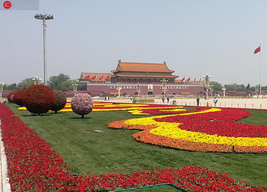 北京五一花坛花卉图片