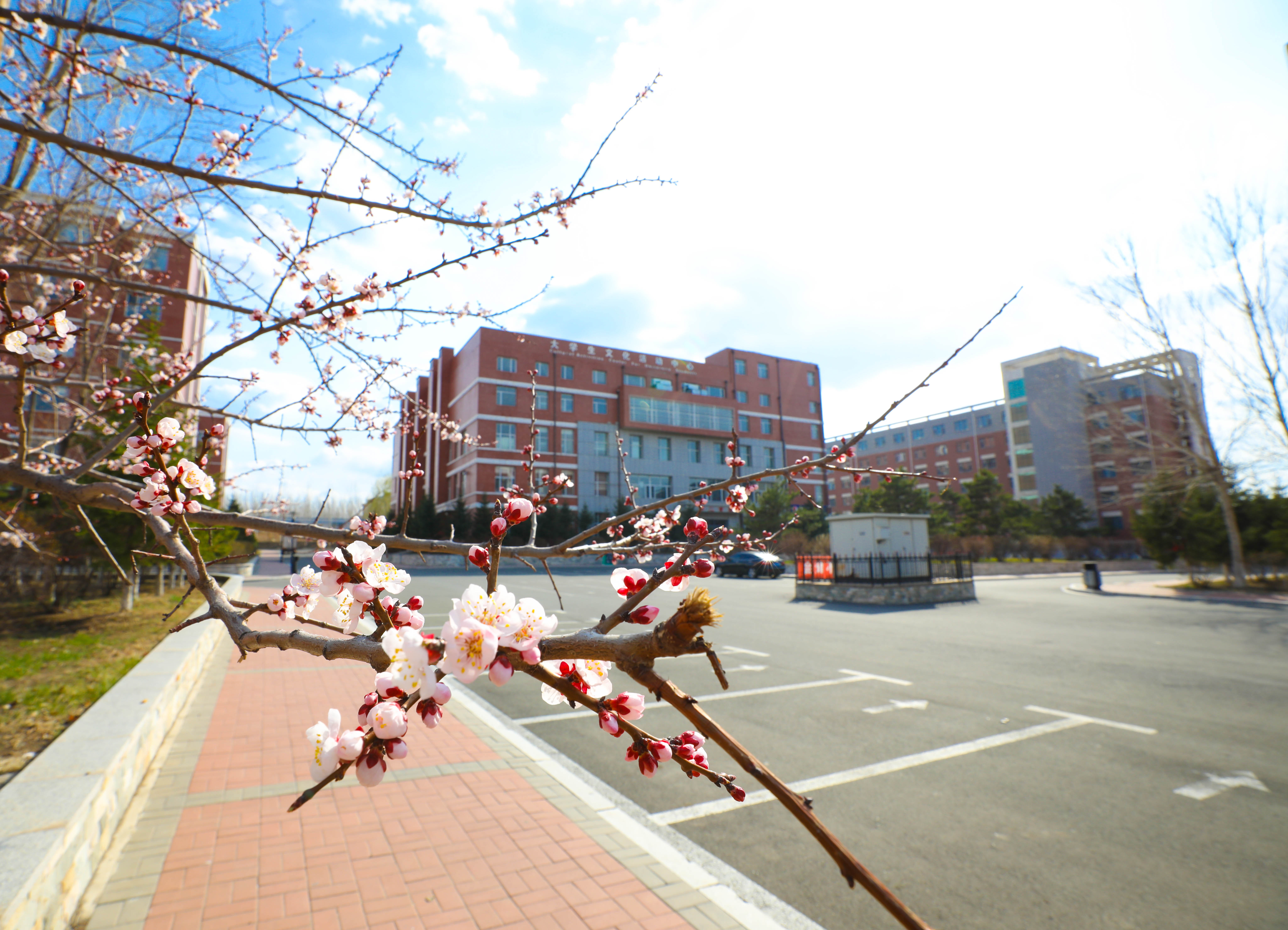 长春财经学院航拍图图片