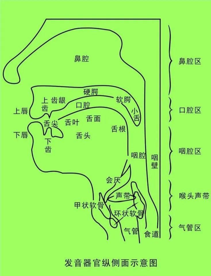 歌唱爱的春天 共沐温暖阳光——"守望童心61艺路花