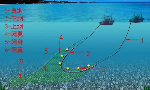 伏休啦5月1日我市海域全面进入海洋伏季休渔期有些事情您得了解下