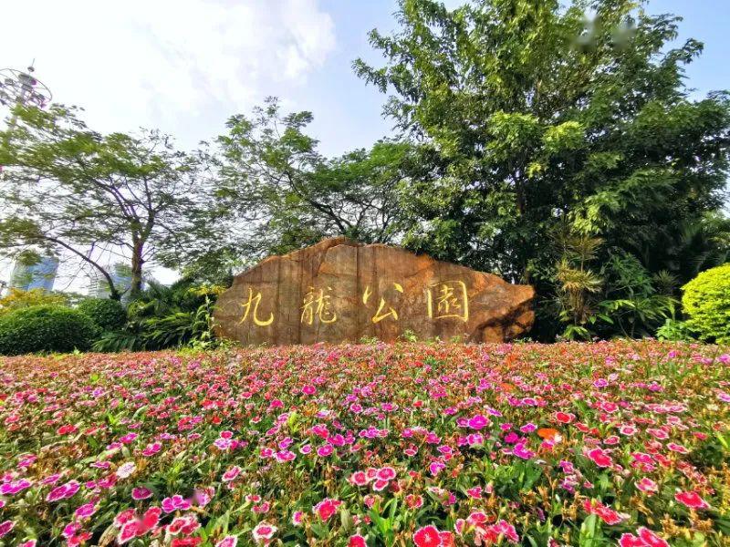 五一假期如何过领取这份大沥度假指南继续开抢商家福利