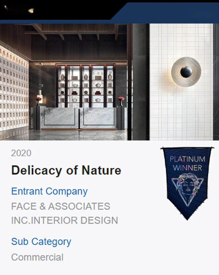 飞视设计荣获2020美国musedesignawards白金奖