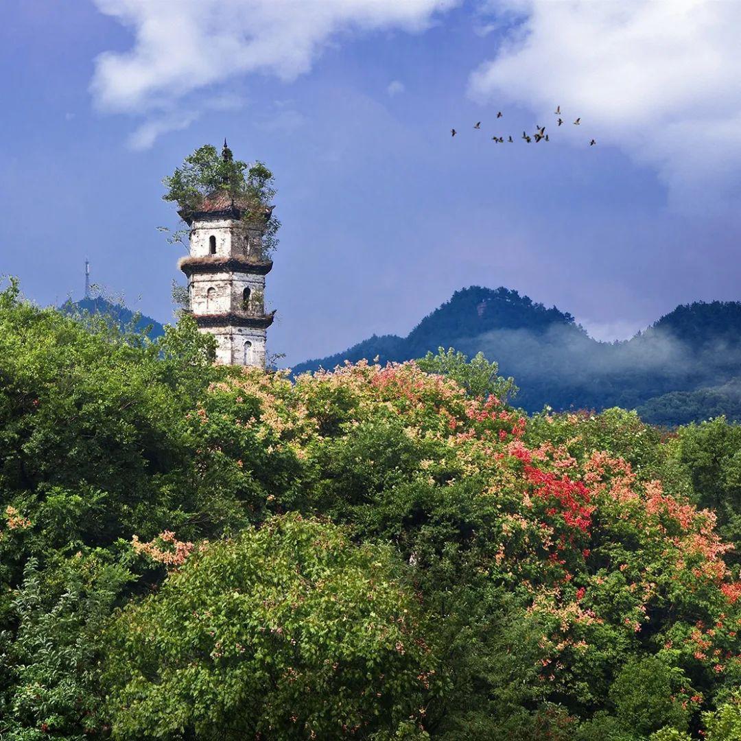 常宁塔山风景区自驾游图片