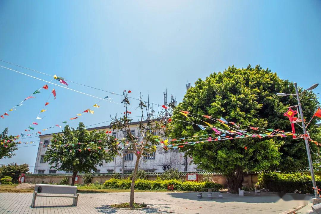 他们到华清村普查红色革命遗址