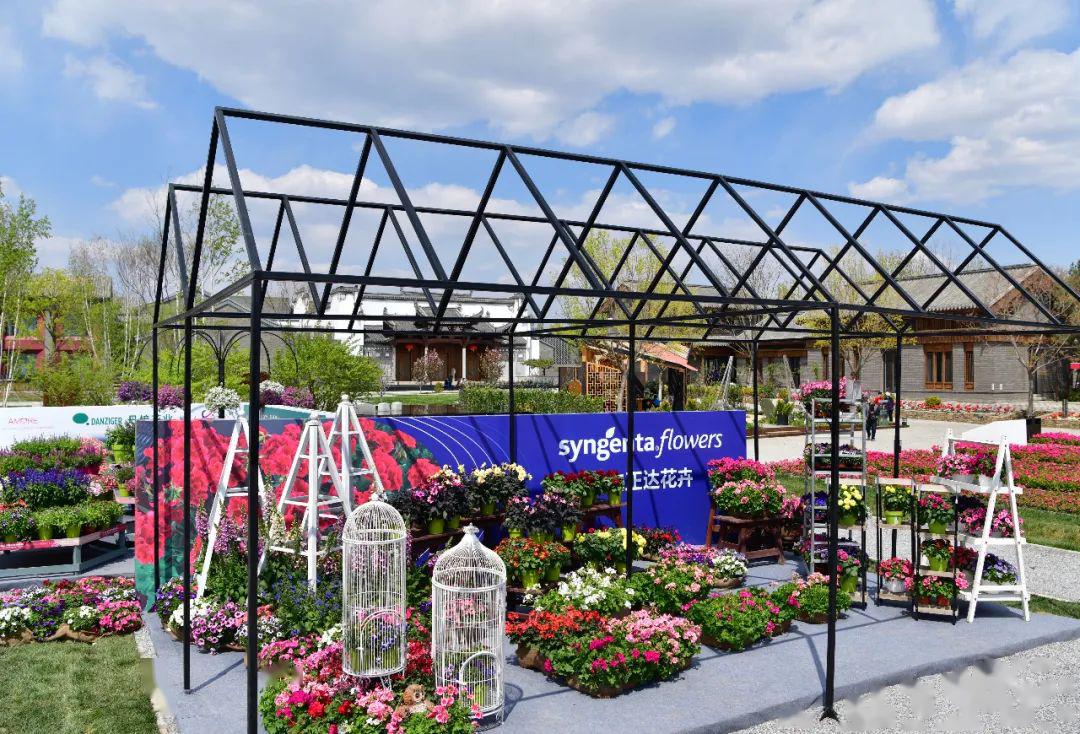 2020第七届北京花木春季花展partⅡ搭建花卉新品种展示的舞台