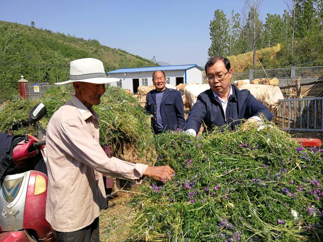 【決戰脫貧攻堅·一線故事】草長牛肥 瘠土生金/線雲弄巧 飛針傳福