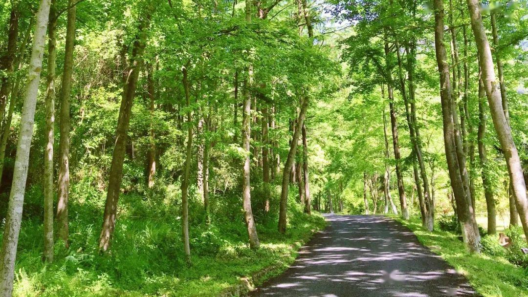 走入绿景让心归宁