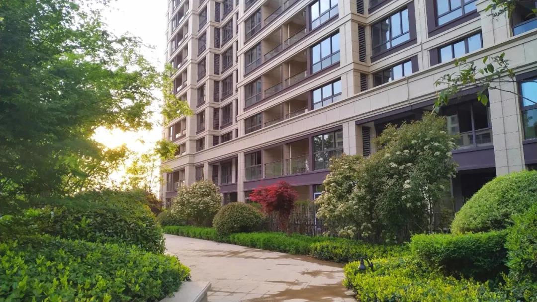 今天萧县神盘交付!业主欢喜收房,笑称捡到20万!_绿城