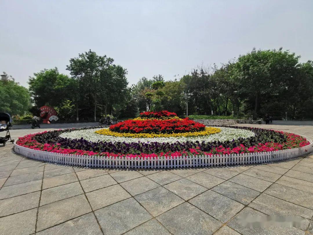 定州新设3个大花坛!