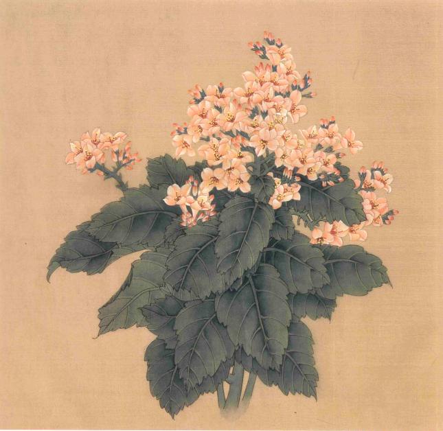 传统工笔花卉端庄秀丽