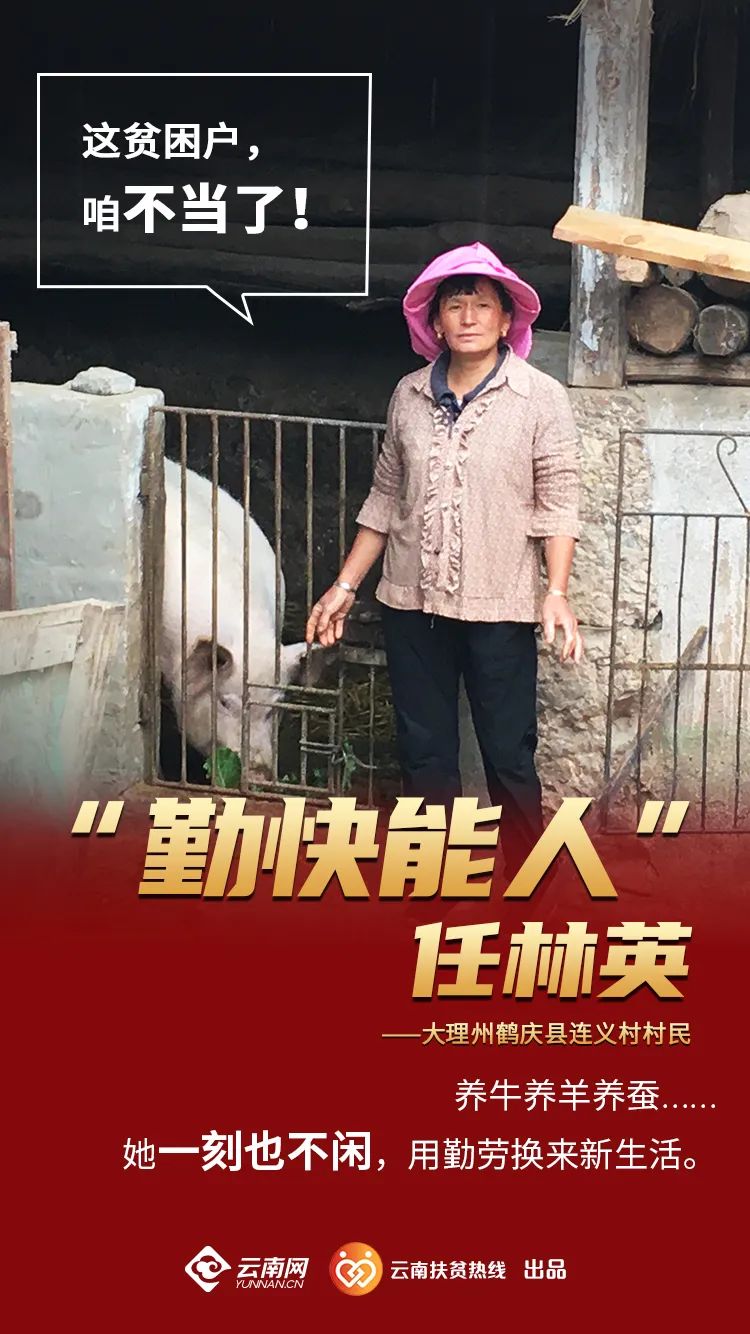 大理州鹤庆县连义村村民"勤快能人"任林英带领全村人走上了致富路!