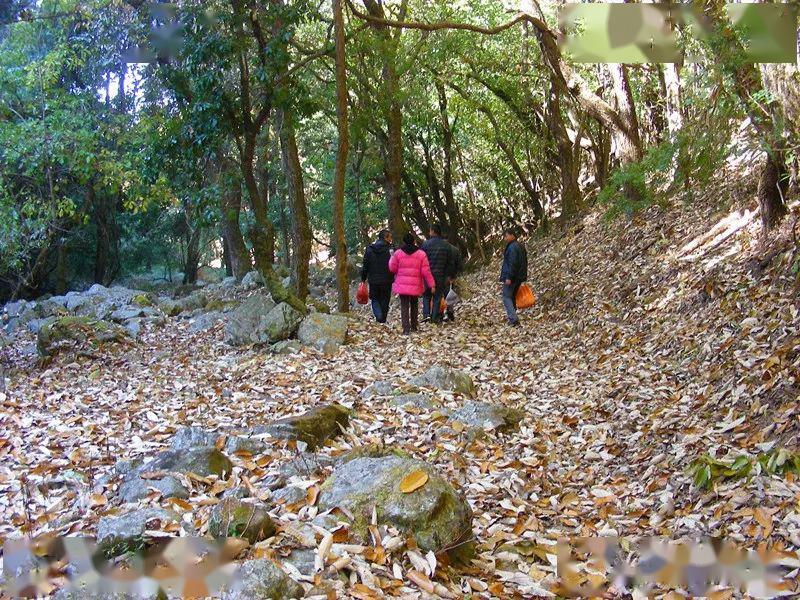 秘蕴广通广通雕翎山