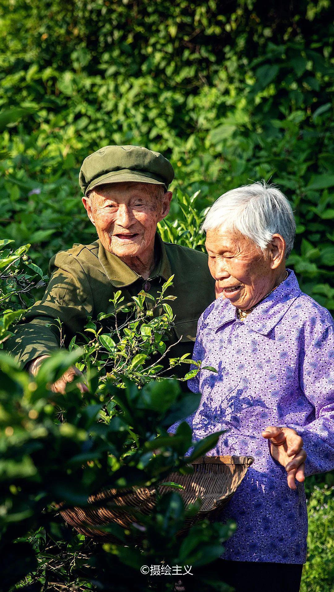 爷爷奶奶70年的爱情打败朋友圈70的情话