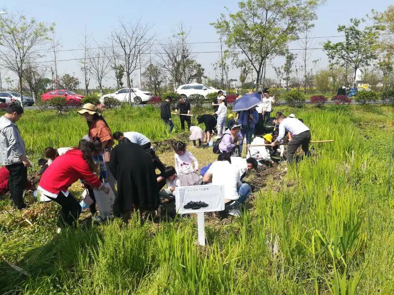 平湖大印农场图片