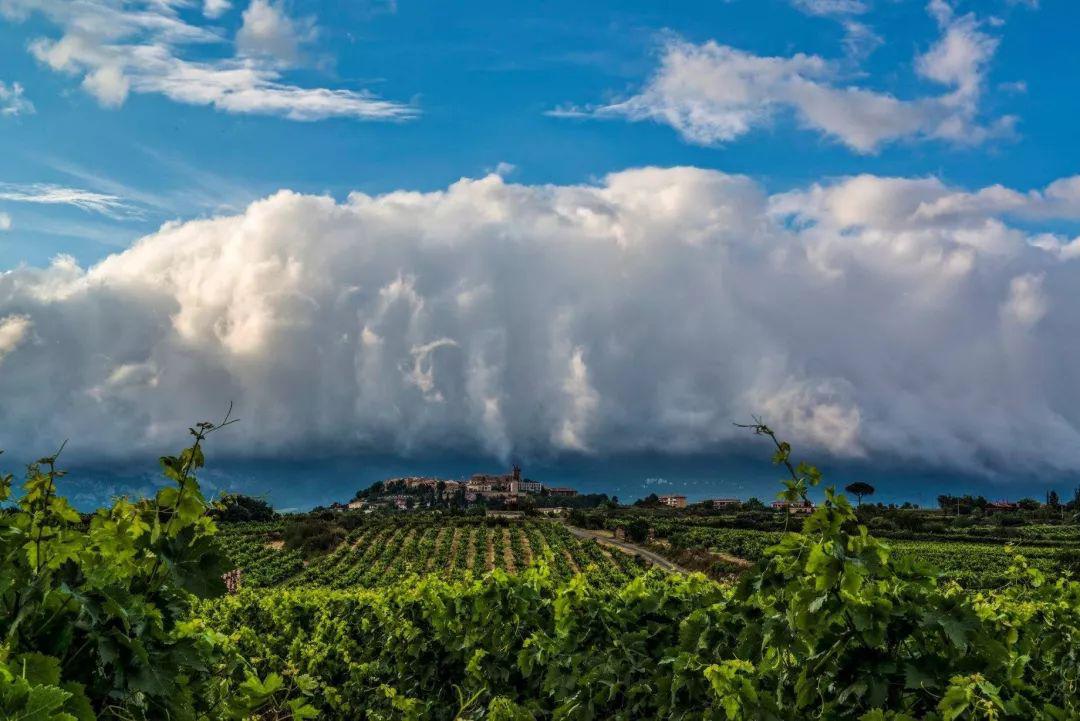 侍酒师培训西班牙里奥哈官方产区中级课程