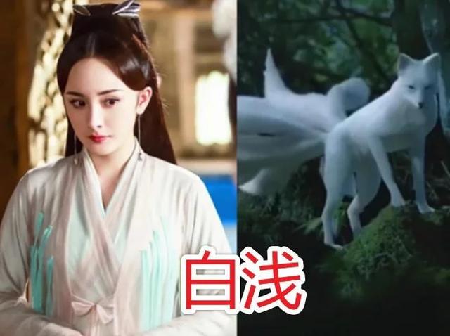 人形vs真身白素贞可爱白浅高贵红菱普通看到白夭夭真身:萌化了