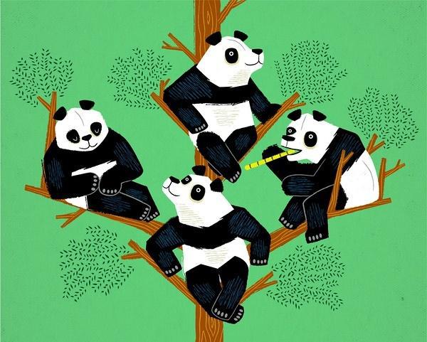 嗨～一起来看看欢乐的动物世界 |主题墙绘儿童插画