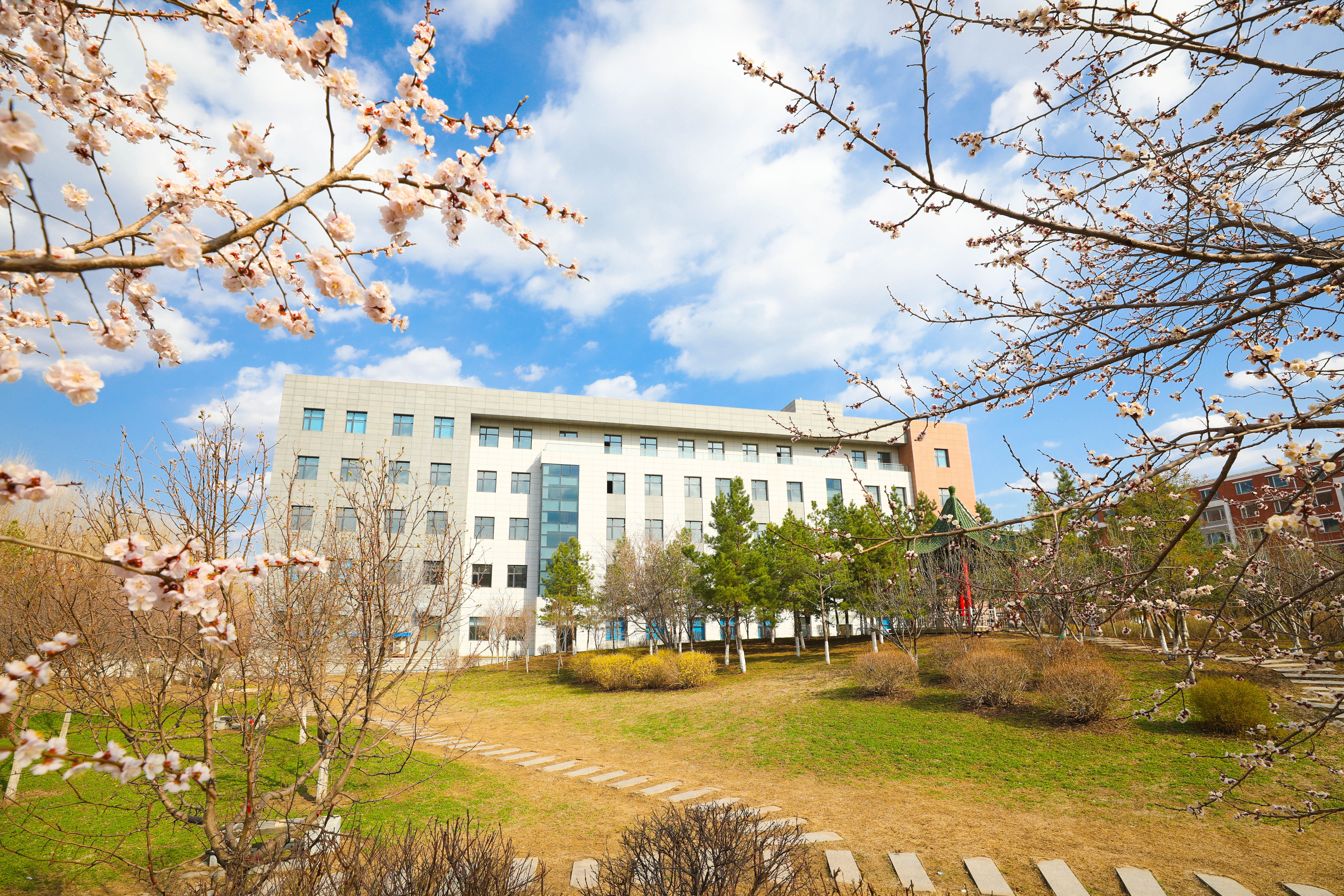 长春财经学院航拍图图片