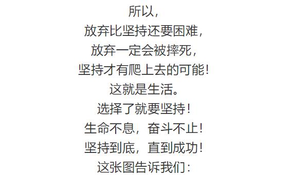 五一我不敢休息因为我还没有卖车