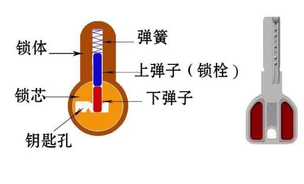 传统常见的弹子锁的基本结构包括锁芯