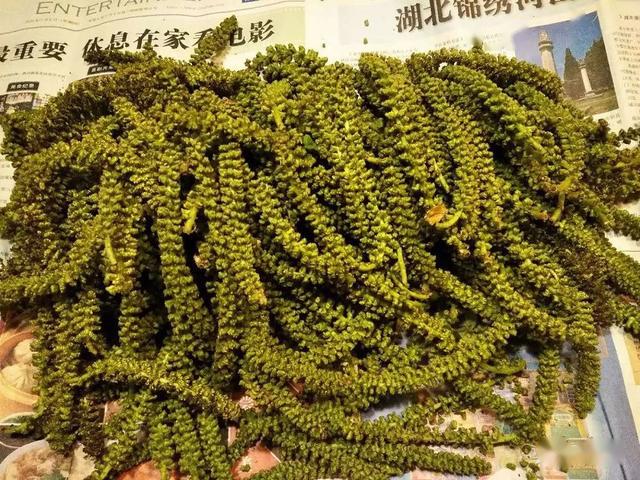 【文馨岁时记】长寿菜——可食的核桃雄花