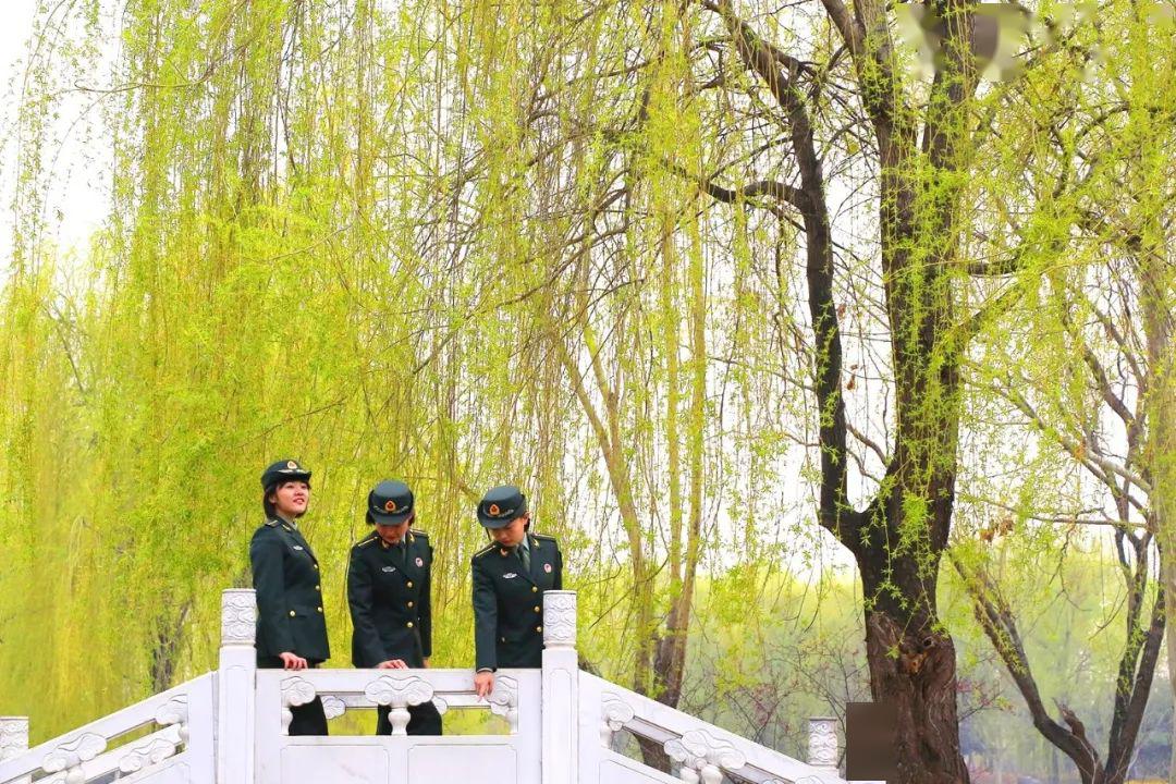 海东青,刘昭,刘飞(左右滑动欣赏美景)中国人民解放军军事科学院▲摄影