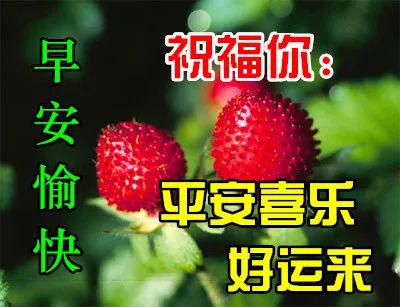 5月1日最漂亮早上好动态表情图片大全早晨好动图美图大全