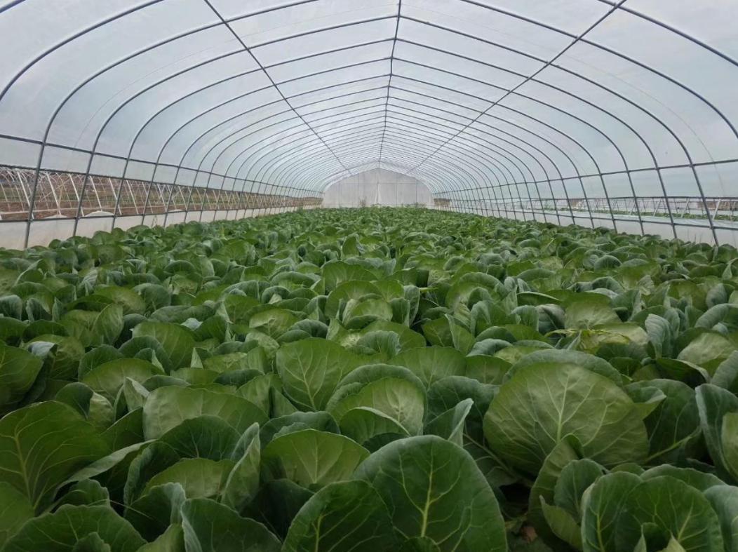 五一会宁游用1种方式10种身份