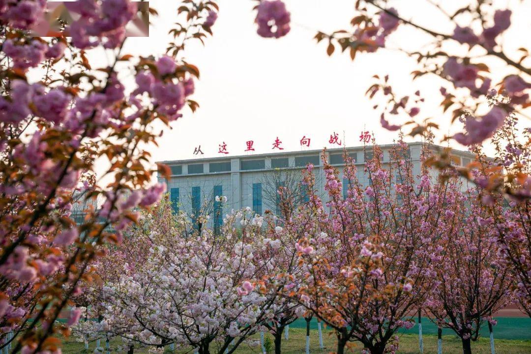 军校里的春天动人心弦,快来选出你心中最美军校吧