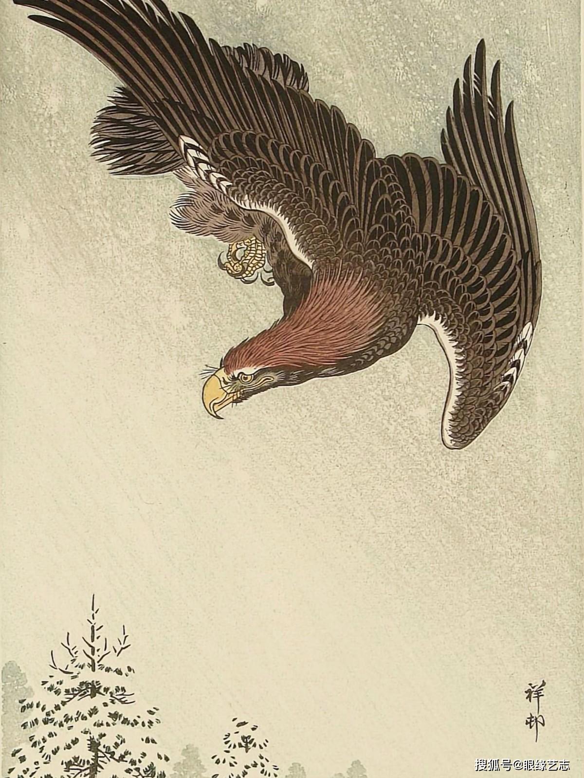 原创花鸟画就是画画小动物日本画家小原古邨的情趣气