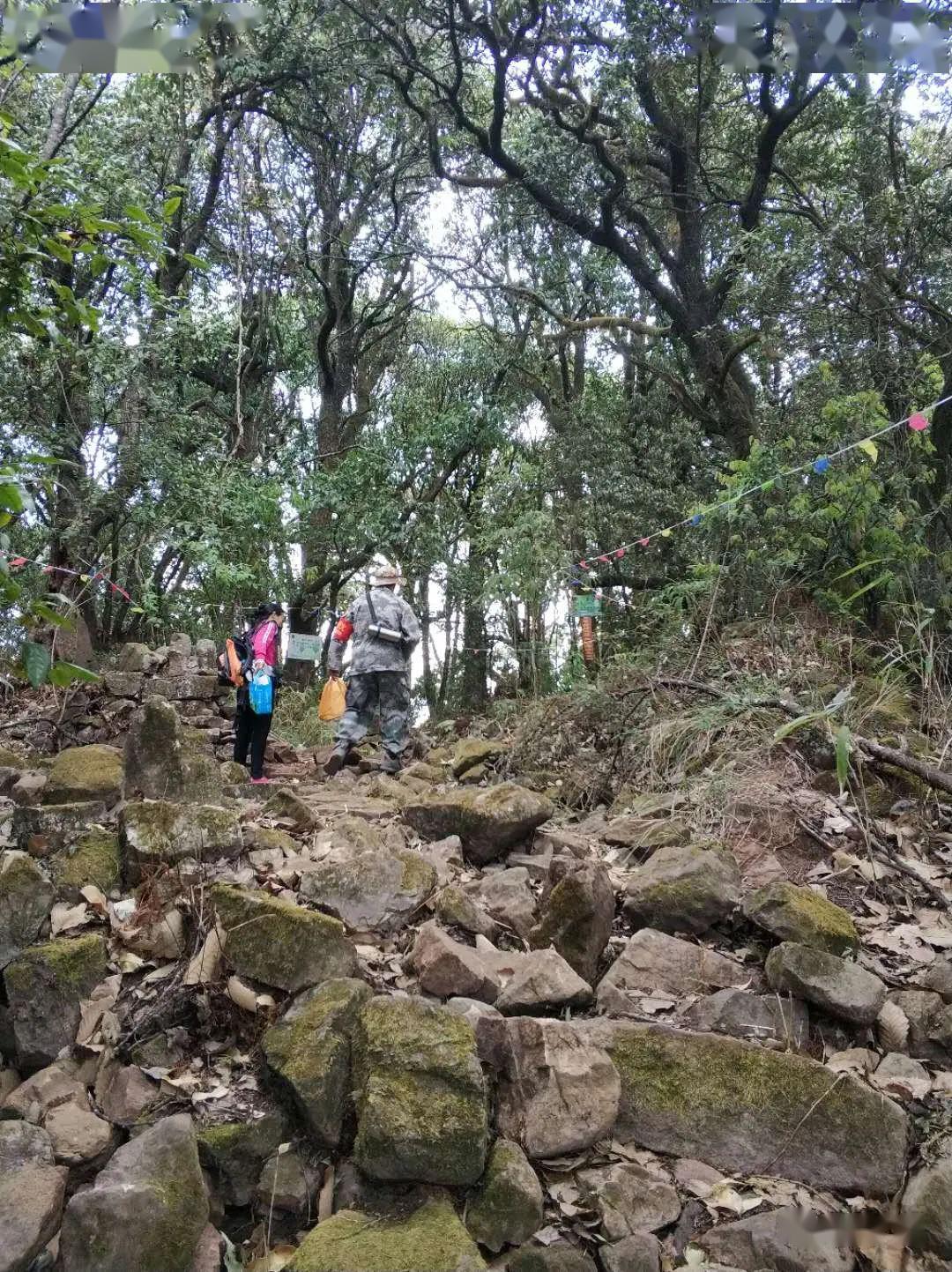 秘蕴广通广通雕翎山