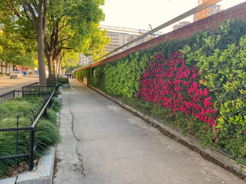 瑞虹新城工地围墙虹口这么美,五一假期了,还不来看看嘛~~资料:区绿化