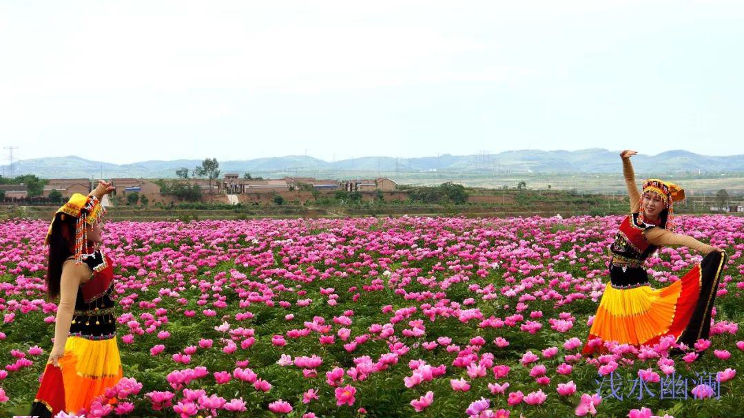 牡丹,月季等多种花卉游客朋友们可在永寿5月1日至槐花节期间2020永寿