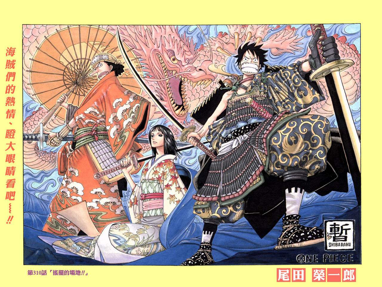 海贼王草帽团扉页故事不一样的冒险与欢乐让人向往