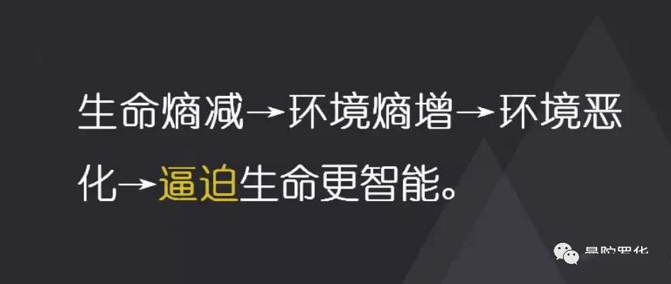 熵增定律讓人一下子頓悟的終極規律