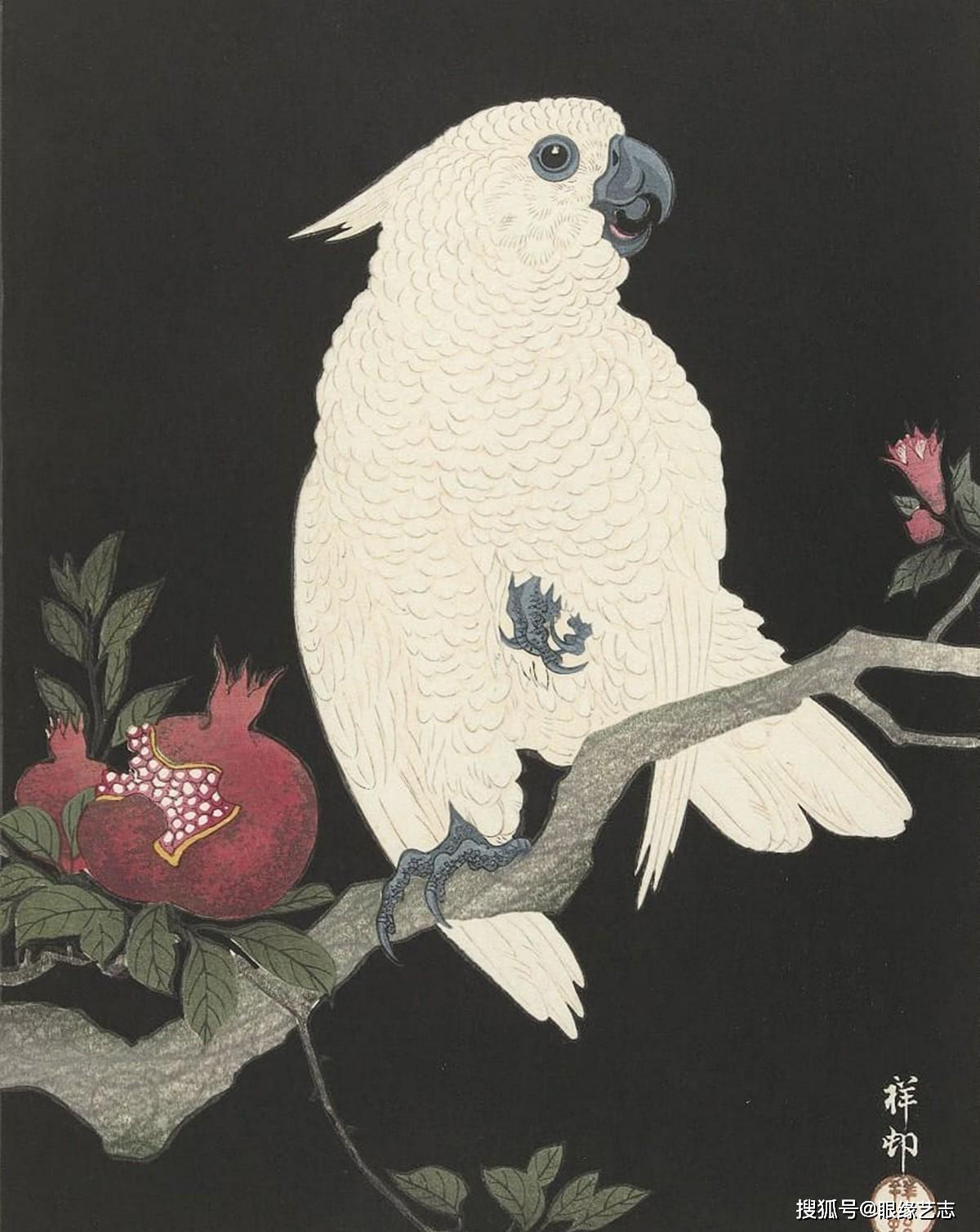 花鸟画就是画画小动物?日本画家小原古邨的情,趣,气