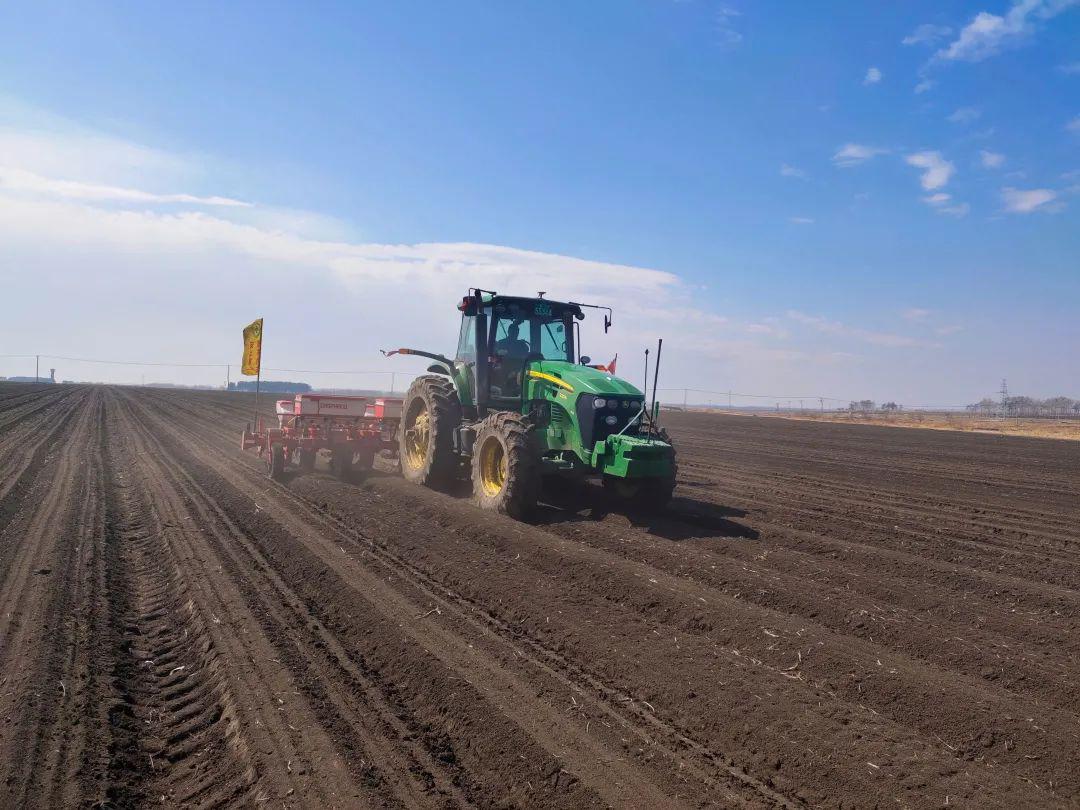 龙镇农场有限公司高标准开展玉米播种作业