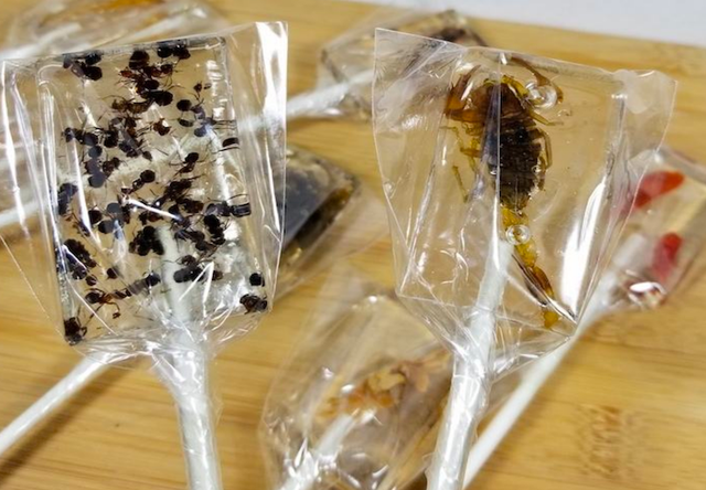 原创这4款奇葩糖味道特奇怪体验吃虫子的感受是谁想出来的馊主意