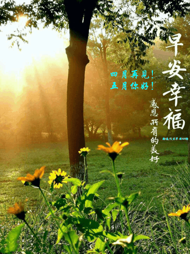四月再见五月你好
